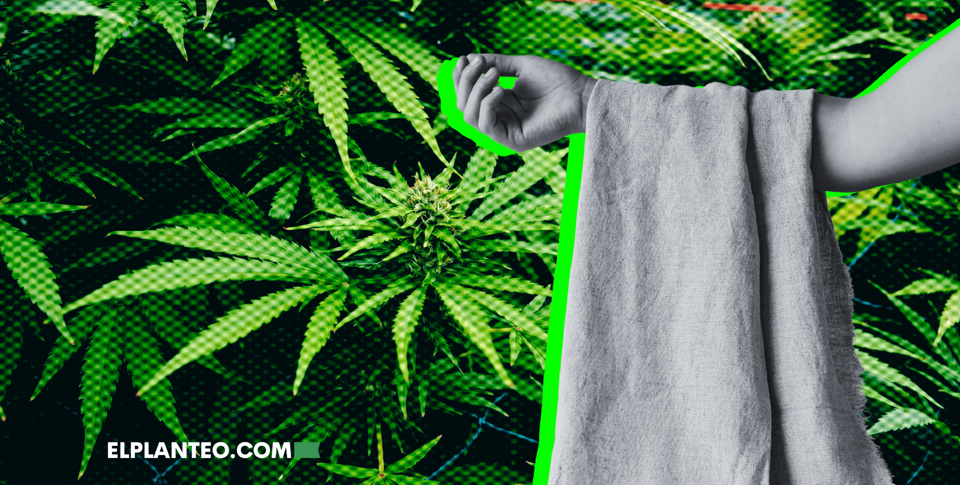 Los Beneficios del Uso del Cáñamo en las Industrias de la Construcción y Textil Los Beneficios del Uso del Cáñamo en las Industrias de la Construcción y Textil