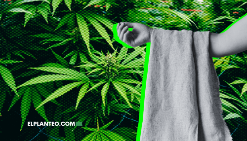 Los Beneficios del Uso del Cáñamo en las Industrias de la Construcción y Textil