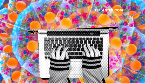 Todo sobre Shroomery y las Comunidades Psicodélicas Online