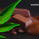 ¿Sabías que Puedes Cocinar con el Kief de tu Picador? Receta Fácil de Botones de Chocolate con Infusión de Cannabis