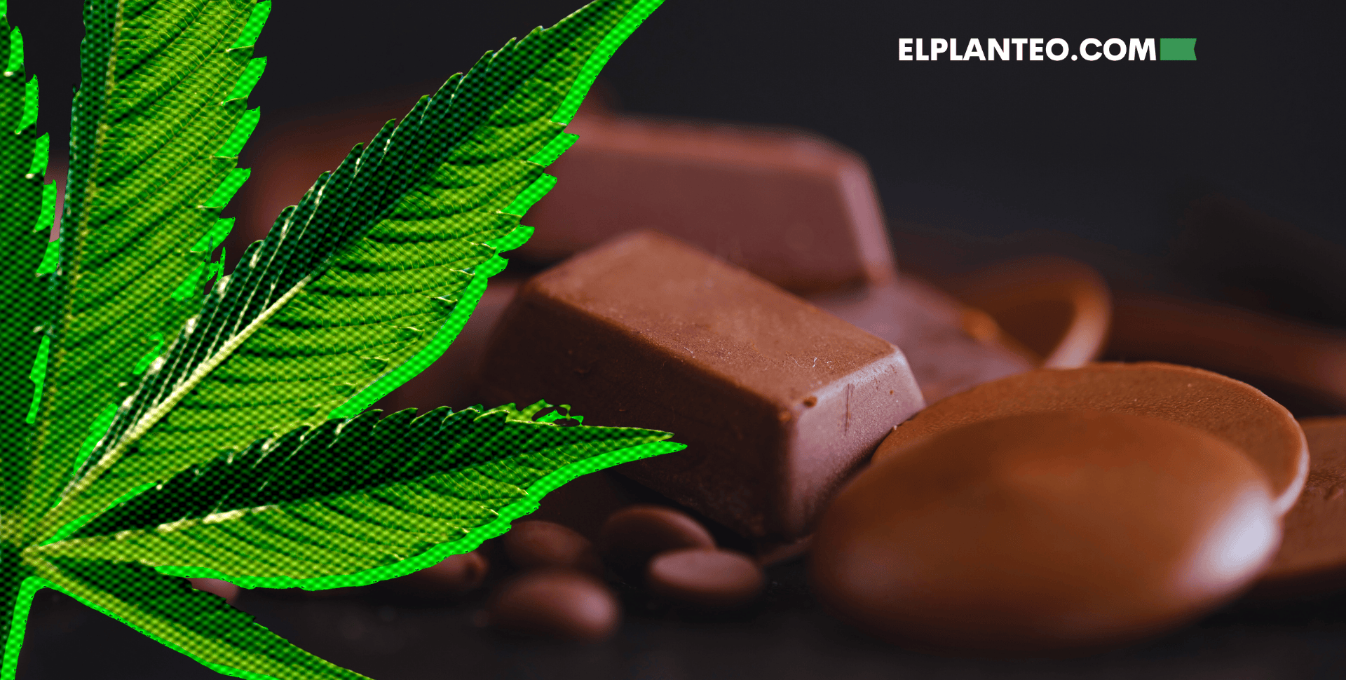 ¿Sabías que Puedes Cocinar con el Kief de tu Picador? Receta Fácil de Botones de Chocolate con Infusión de Cannabis ¿Sabías que Puedes Cocinar con el Kief de tu Picador? Receta Fácil de Botones de Chocolate con Infusión de Cannabis