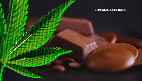 ¿Sabías que Puedes Cocinar con el Kief de tu Picador? Receta Fácil de Botones de Chocolate con Infusión de Cannabis ¿Sabías que Puedes Cocinar con el Kief de tu Picador? Receta Fácil de Botones de Chocolate con Infusión de Cannabis