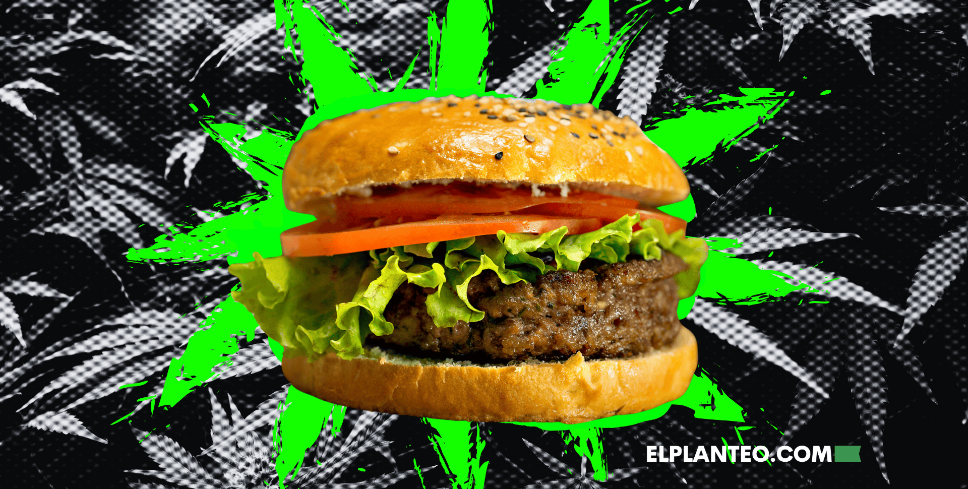 Torta de Cáñamo: ¿El Futuro de la Carne Sostenible? Torta de Cáñamo: ¿El Futuro de la Carne Sostenible?