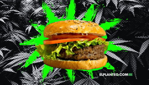 Torta de Cáñamo: ¿El Futuro de la Carne Sostenible?