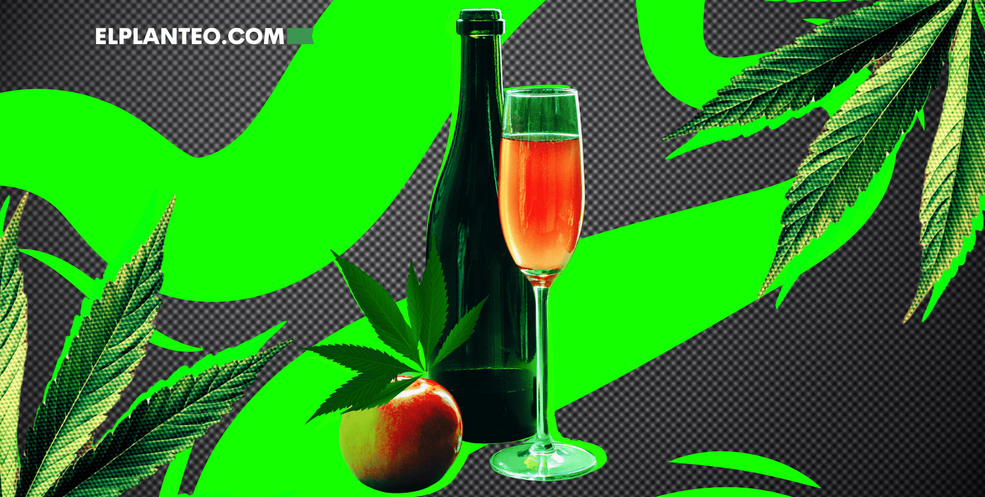 Bebidas con THC: Todo Sobre el Vino de Cannabis Bebidas con THC: Todo Sobre el Vino de Cannabis