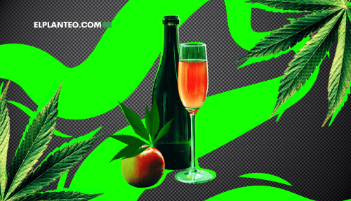 Bebidas con THC: Todo Sobre el Vino de Cannabis