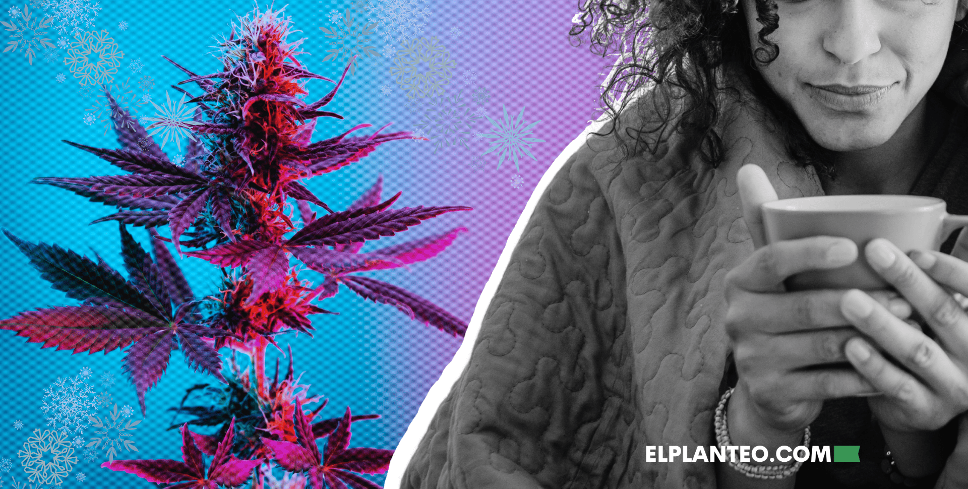 Llegó el Frío… Y la Marihuana Puede Ser una Gran Aliada