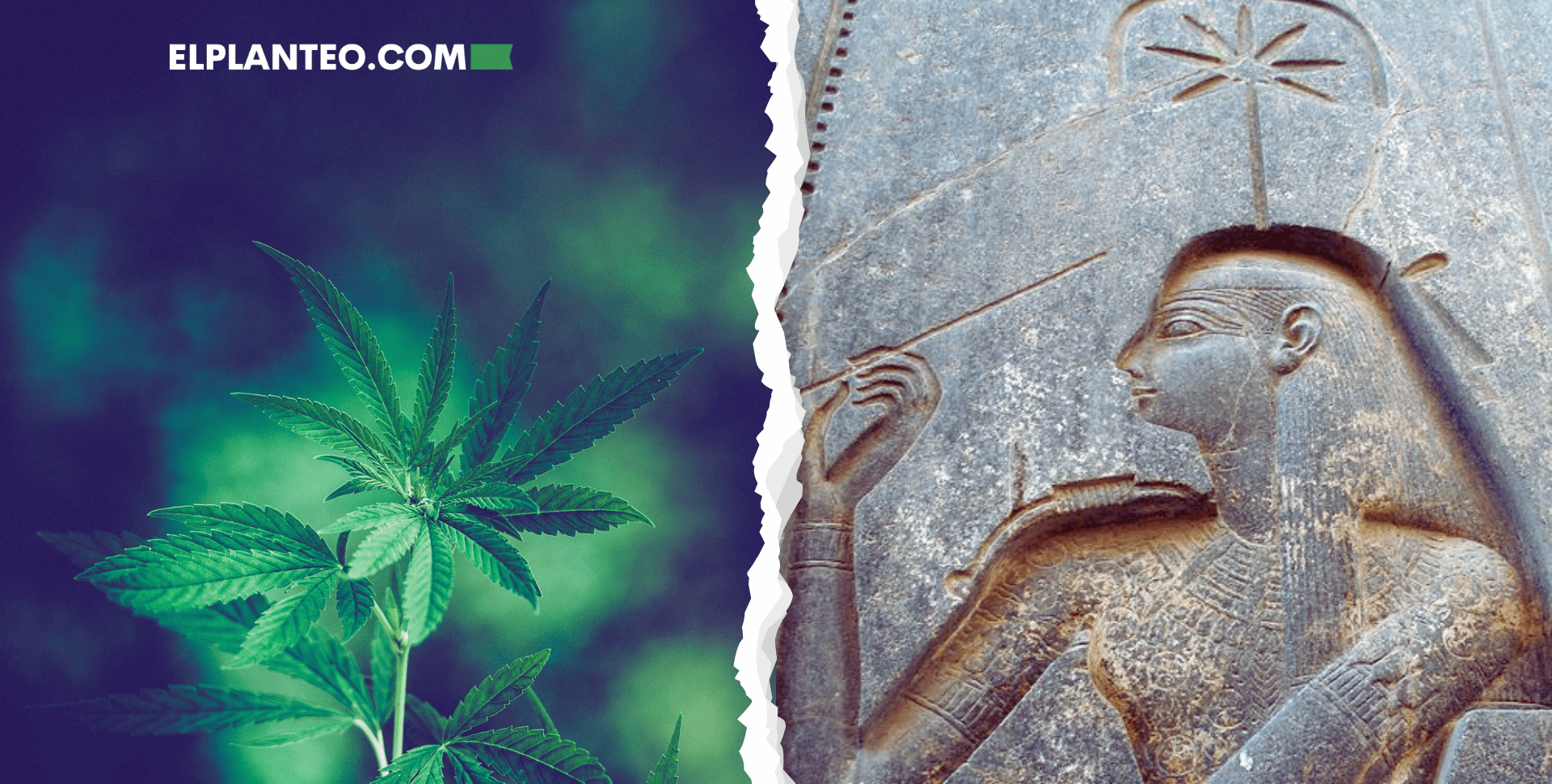 Cannabis: ¿La Medicina Secreta del Antiguo Egipto? Cannabis: ¿La Medicina Secreta del Antiguo Egipto?