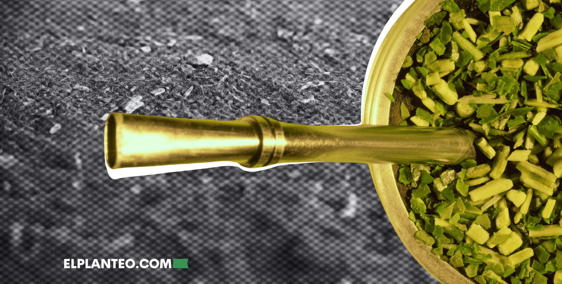 ¿El Mate Es una Droga? Una Pregunta Más Habitual de lo que Piensas ¿El Mate Es una Droga? Una Pregunta Más Habitual de lo que Piensas