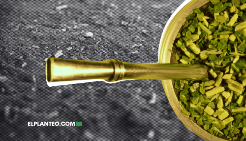 ¿El Mate Es una Droga? Una Pregunta Más Habitual de lo que Piensas ¿El Mate Es una Droga? Una Pregunta Más Habitual de lo que Piensas