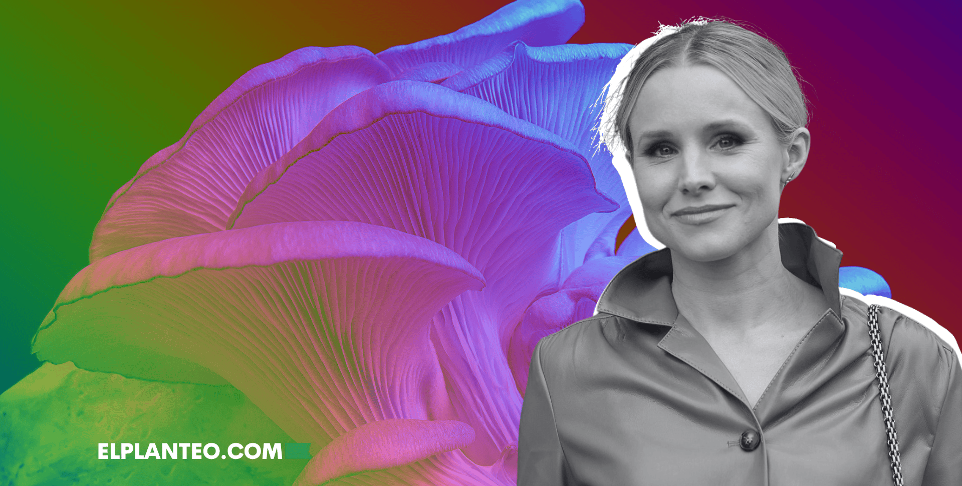 Kristen Bell Habla sobre Usar Hongos Psicodélicos para la Depresión