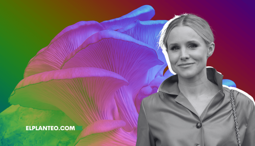 Kristen Bell Habla sobre Usar Hongos Psicodélicos para la Depresión