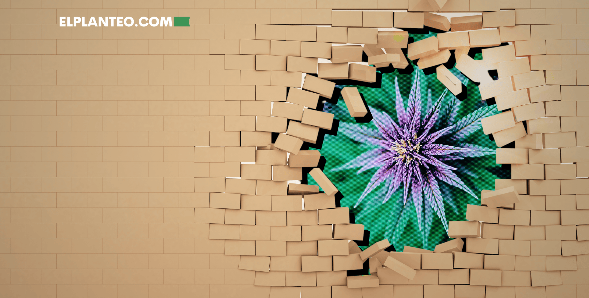 Cepas de Marihuana: Glory Hole