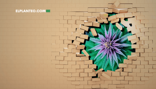 Cepas de Marihuana: Glory Hole Cepas de Marihuana: Glory Hole