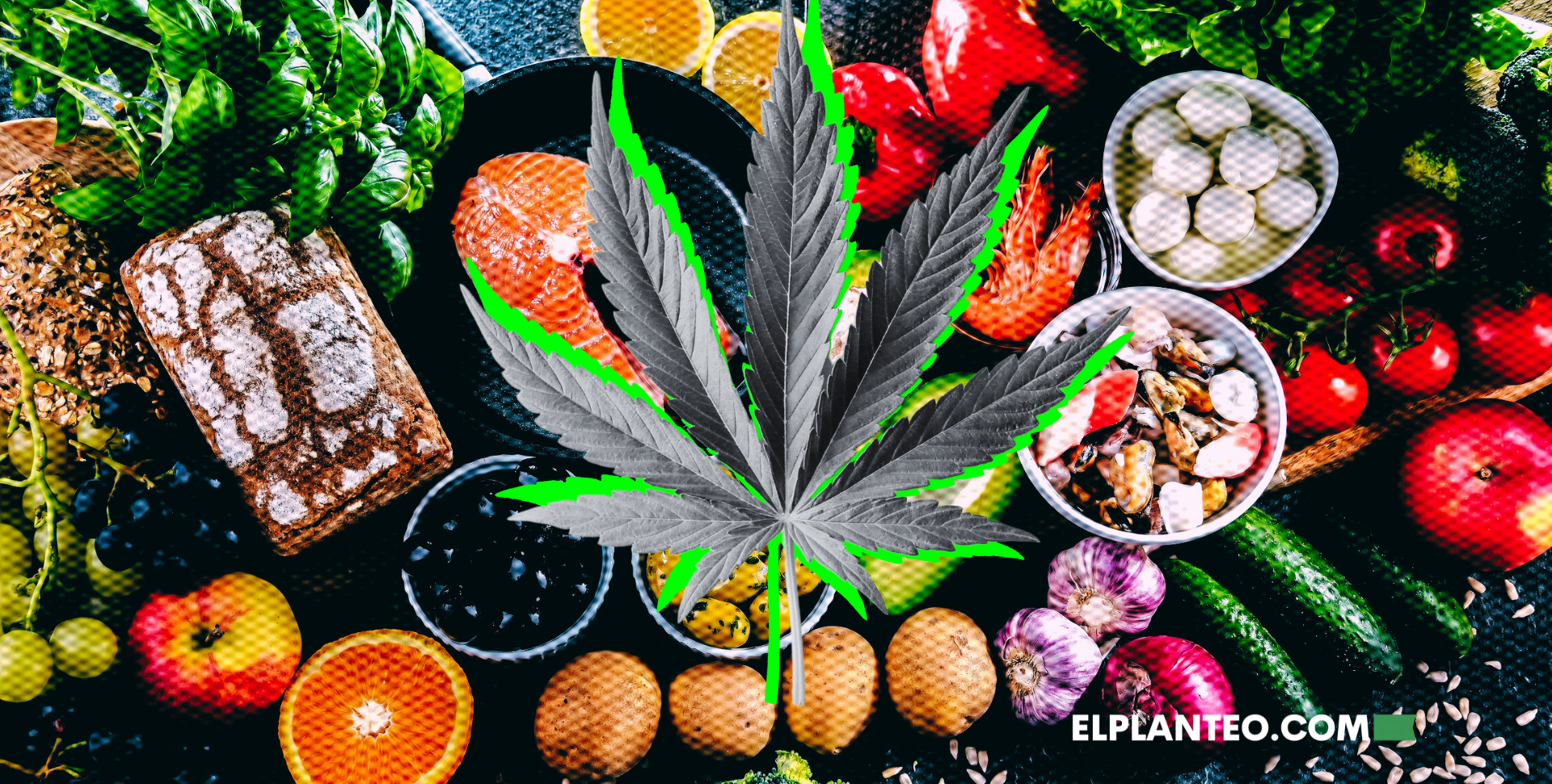 Marihuana y Nutrición: Los Alimentos Secretos para Sacar el Máximo Provecho al Cannabis