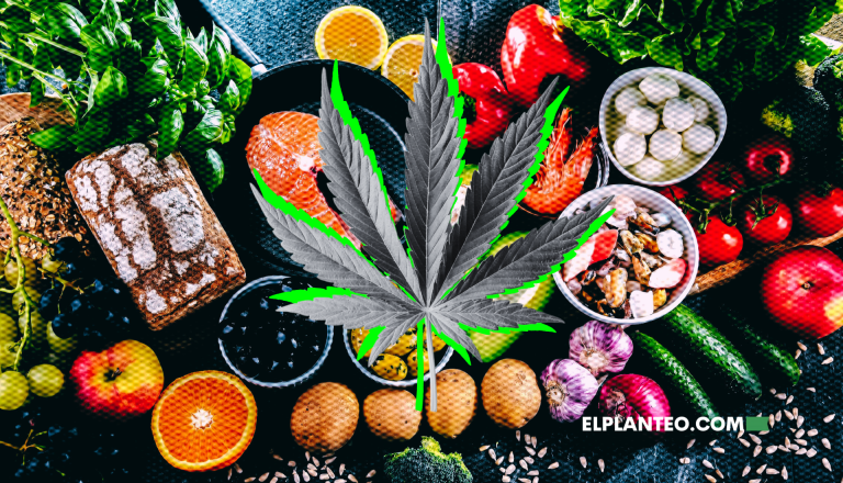 Marihuana y Nutrición: Los Alimentos Secretos para Sacar el Máximo Provecho al Cannabis