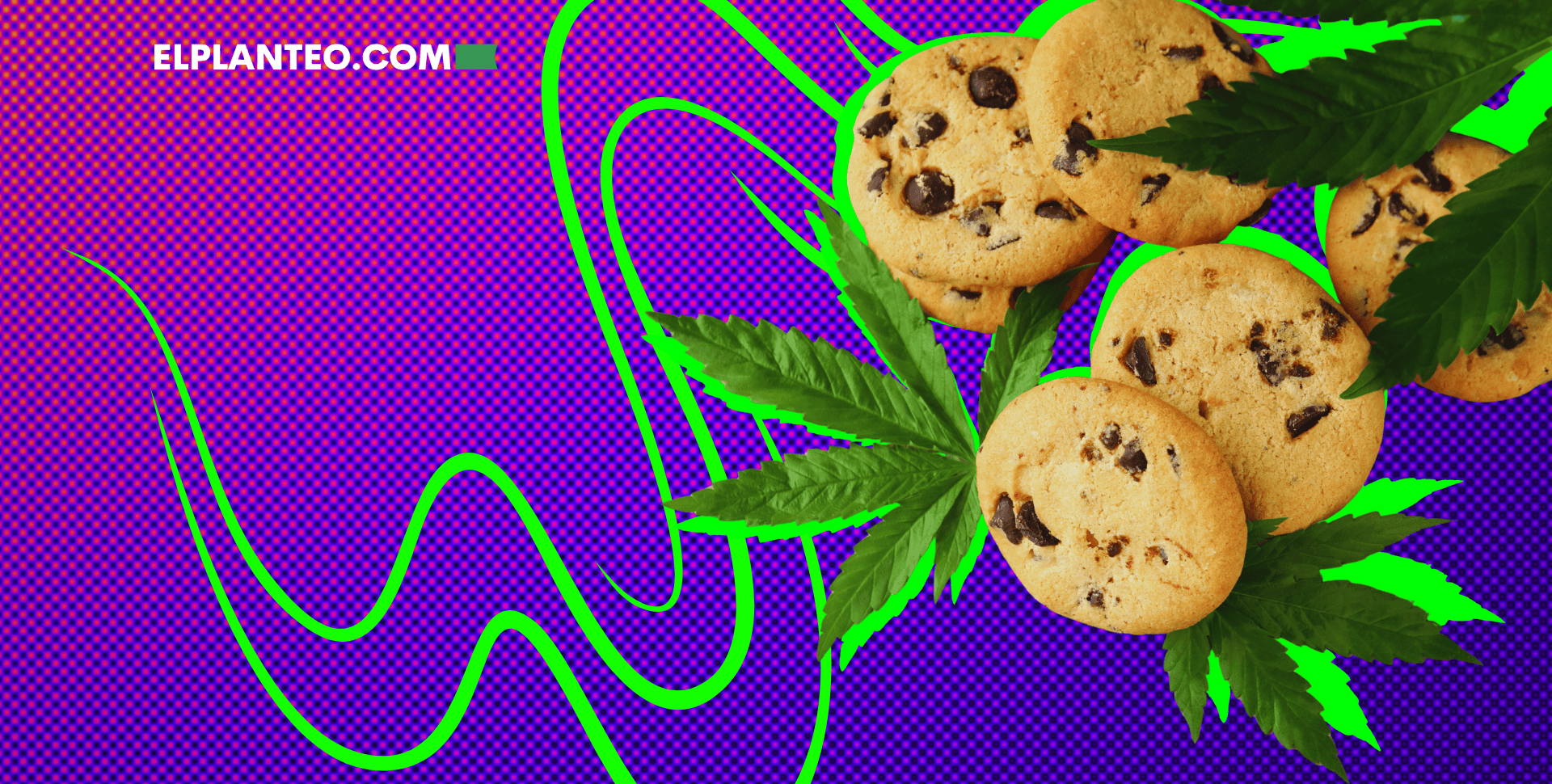 Cepas de Marihuana: GSC o Girl Scout Cookies