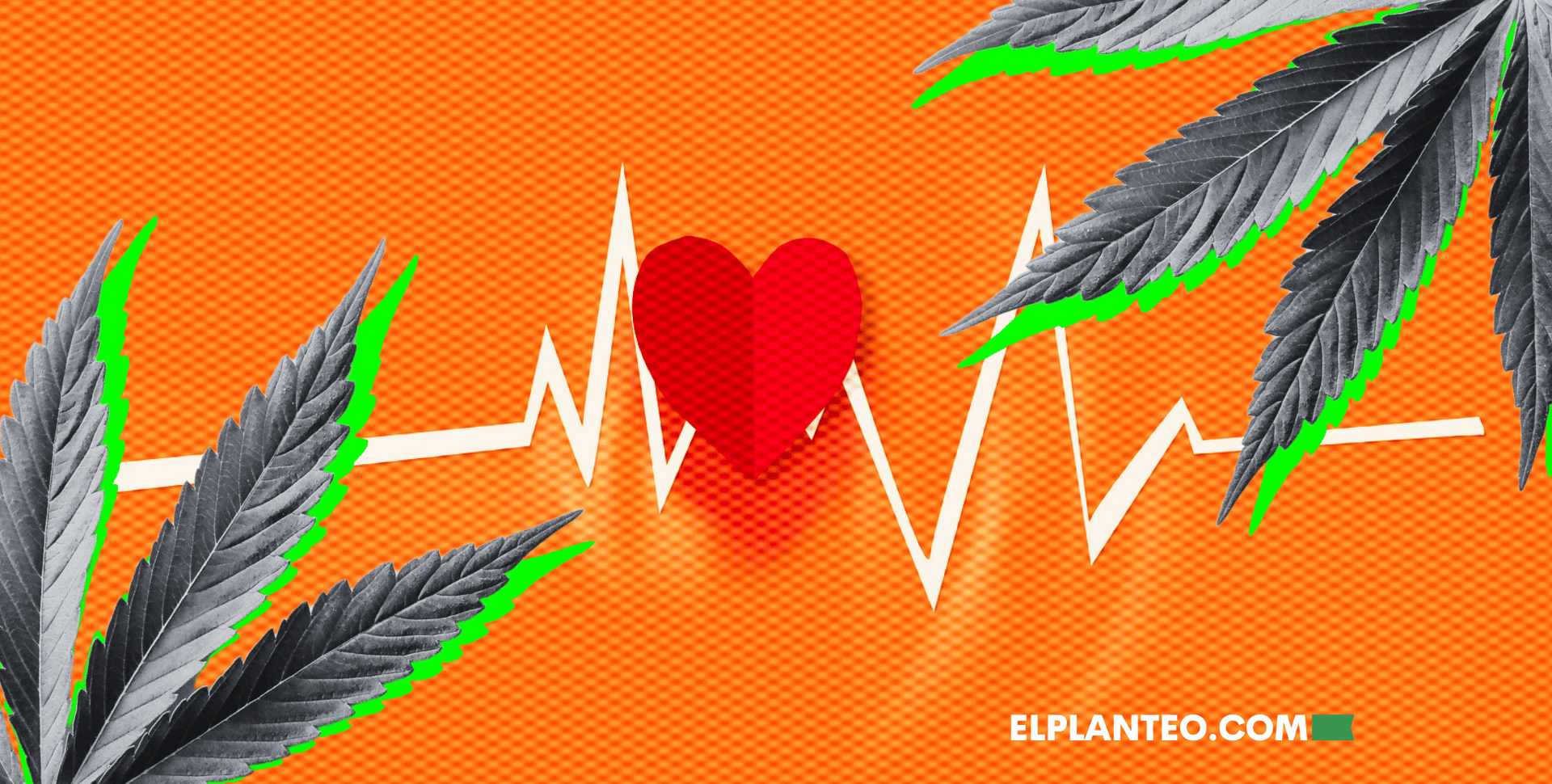 Cómo Afecta la Marihuana a la Presión Sanguínea