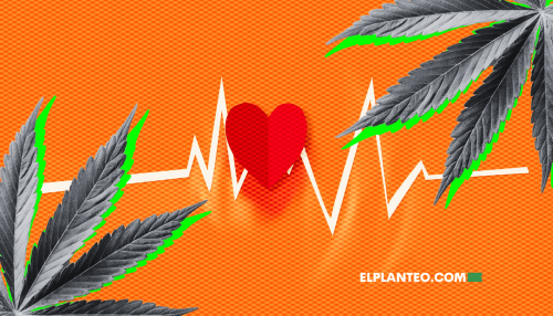 Cómo Afecta la Marihuana a la Presión Sanguínea