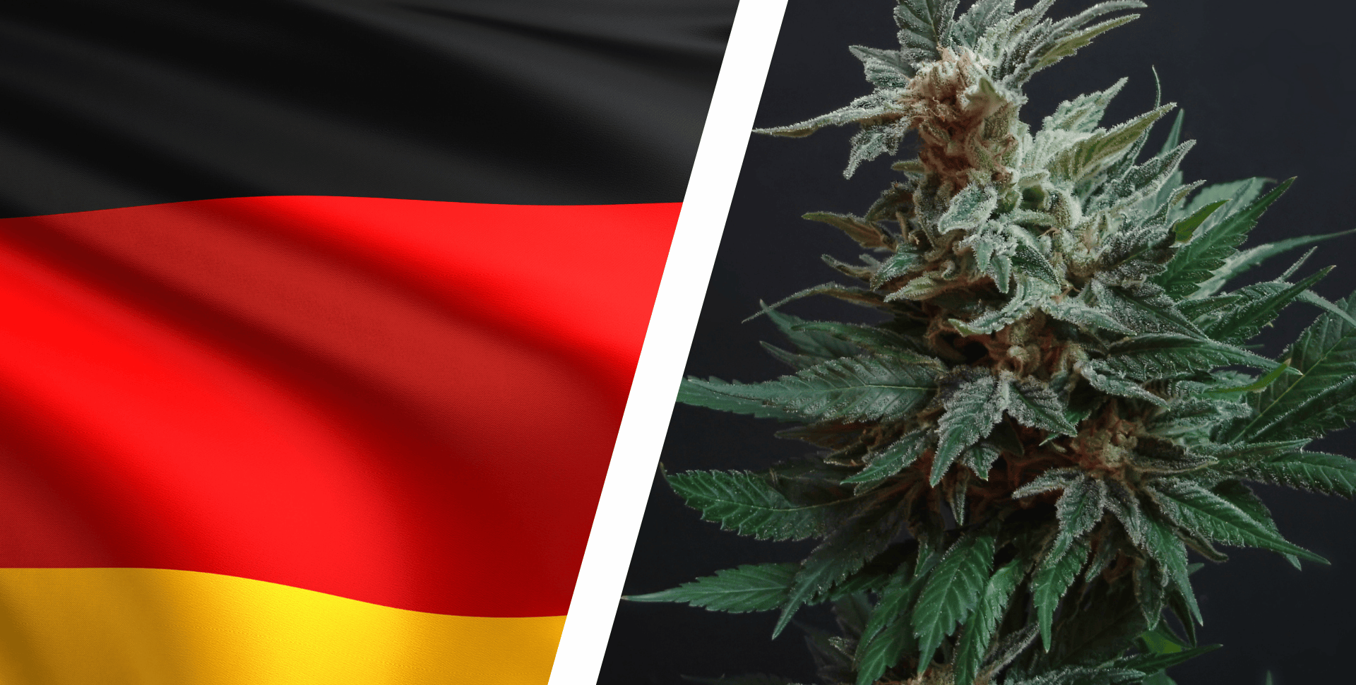 El Cannabis Sigue Siendo Legal en Alemania (Por Ahora) Tras Nuevo Acuerdo de Coalición