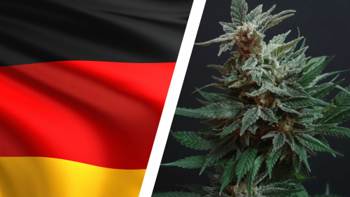 El Cannabis Sigue Siendo Legal en Alemania (Por Ahora) Tras Nuevo Acuerdo de Coalición