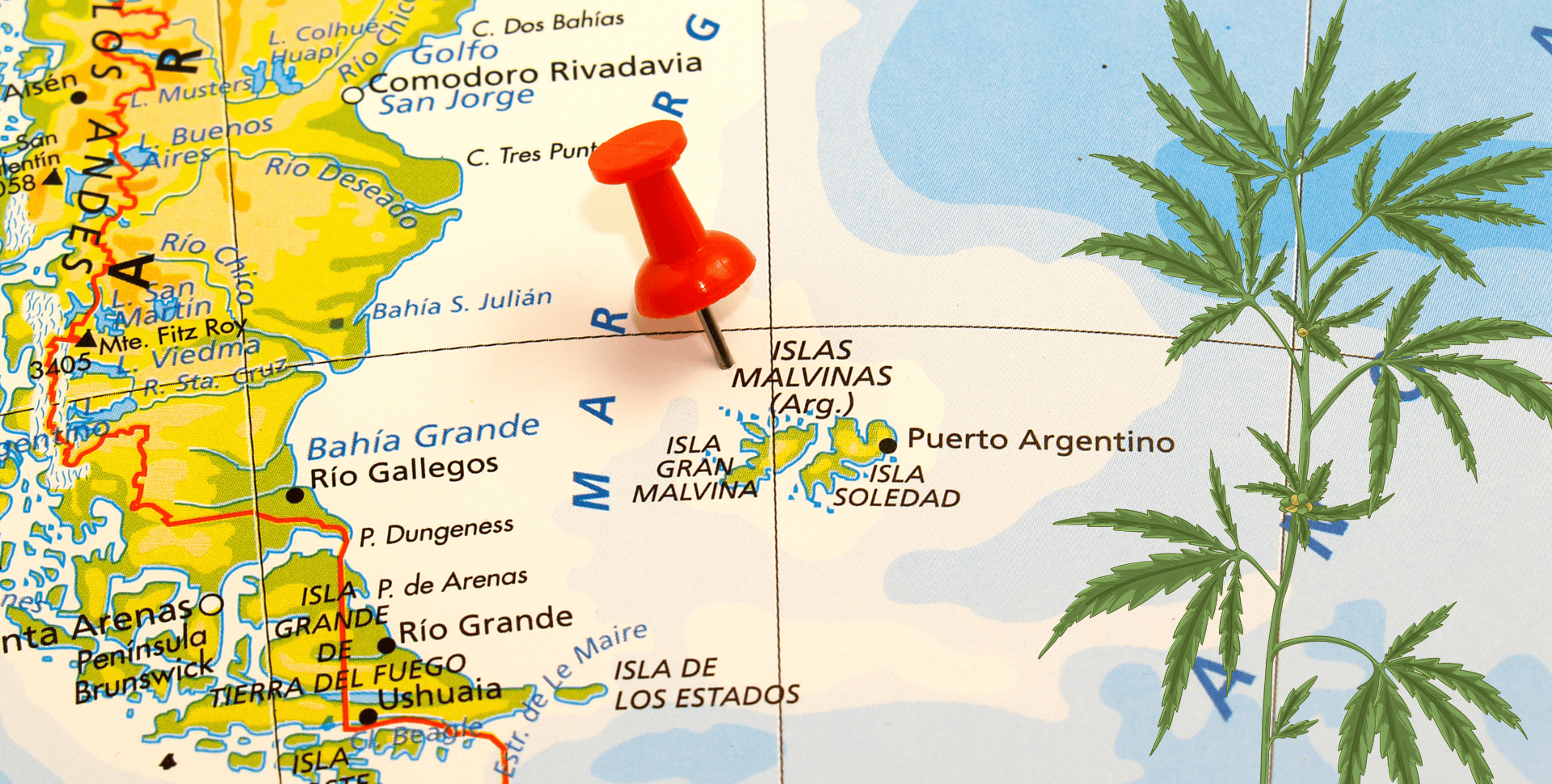 Cáñamo en Malvinas y Patagonia: El Cultivo que la Historia Argentina Olvidó (Hasta Ahora) Cáñamo en Malvinas y Patagonia: El Cultivo que la Historia Argentina Olvidó (Hasta Ahora)