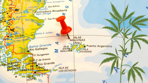 Cáñamo en Malvinas y Patagonia: El Cultivo que la Historia Argentina Olvidó (Hasta Ahora) Cáñamo en Malvinas y Patagonia: El Cultivo que la Historia Argentina Olvidó (Hasta Ahora)