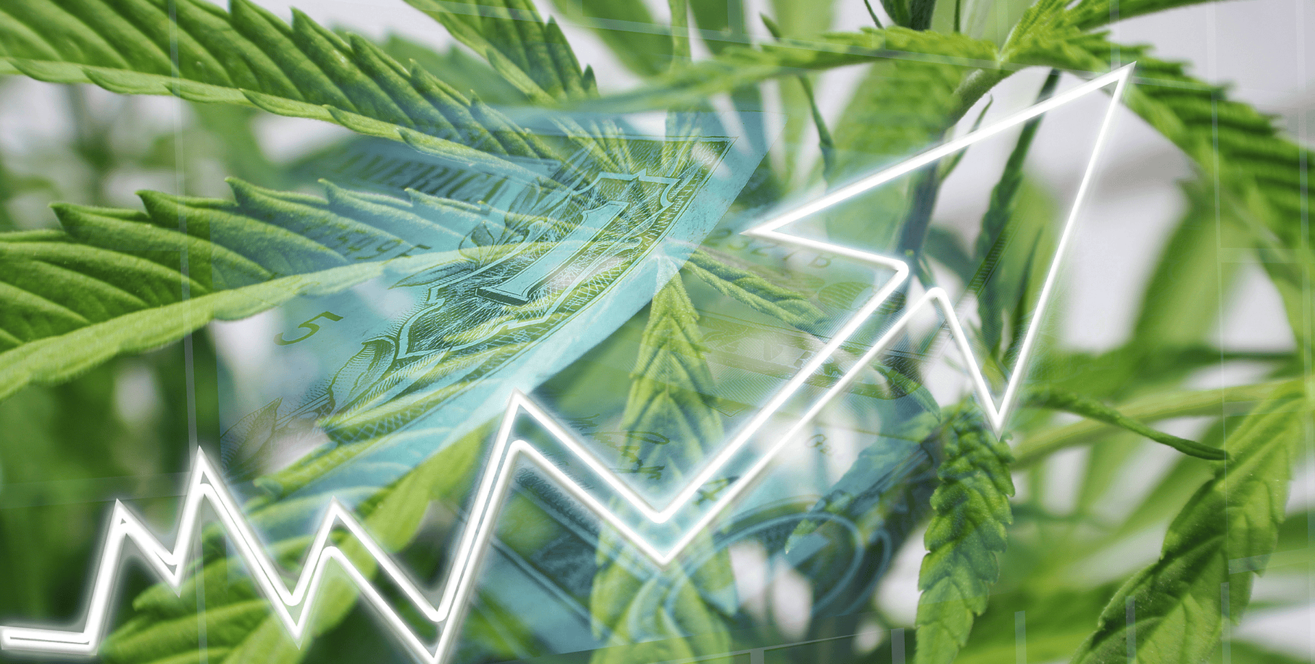 Acciones de Cannabis Suben Con Fuerza: Qué Pasó y Por Qué Analistas Sugieren ‘No Tomarse el Jugo de Un Trago’ Acciones de Cannabis Suben Con Fuerza: Qué Pasó y Por Qué Analistas Sugieren ‘No Tomarse el Jugo de Un Trago’