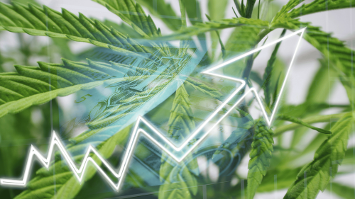 Acciones de Cannabis Suben Con Fuerza: Qué Pasó y Por Qué Analistas Sugieren ‘No Tomarse el Jugo de Un Trago’