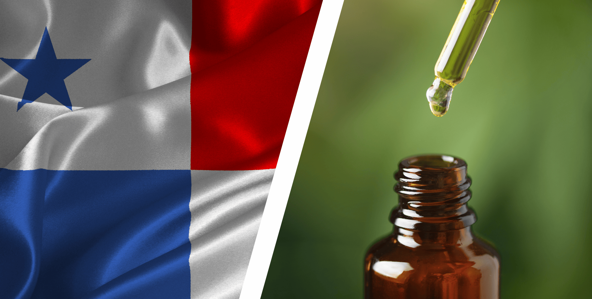 Cannabis Medicinal en Panamá: una Plataforma Busca Acelerar su Implementación Mientras Asesora a Pacientes