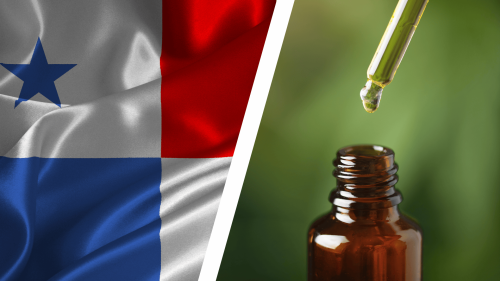 Cannabis Medicinal en Panamá: una Plataforma Busca Acelerar su Implementación Mientras Asesora a Pacientes Cannabis Medicinal en Panamá: una Plataforma Busca Acelerar su Implementación Mientras Asesora a Pacientes