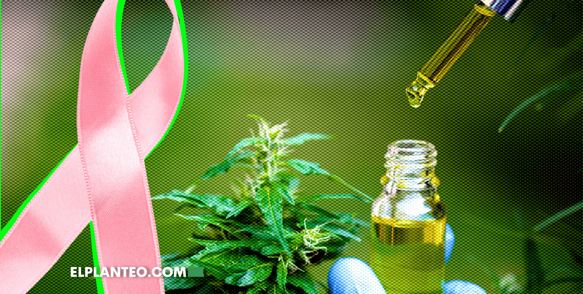 Estudio del CONICET con Productos de Cannava Brinda Esperanzas a Pacientes con Cáncer