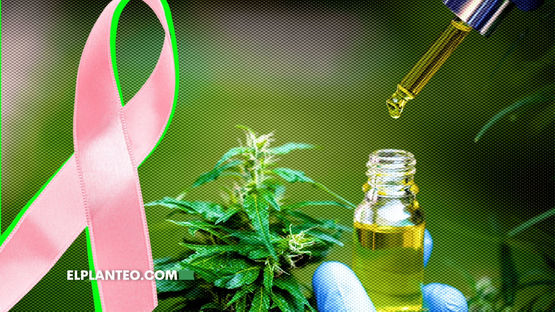 Estudio del CONICET con Productos de Cannava Brinda Esperanzas a Pacientes con Cáncer Estudio del CONICET con Productos de Cannava Brinda Esperanzas a Pacientes con Cáncer