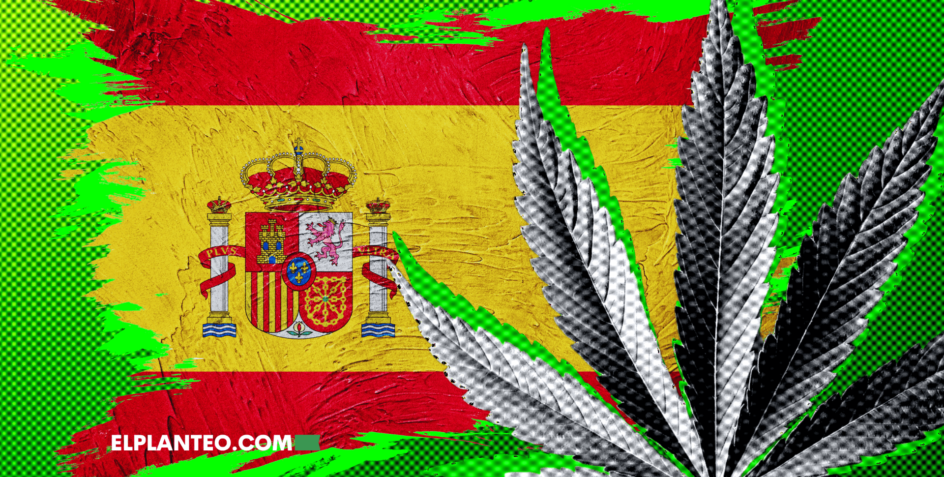 España Prohíbe el HHC y Otros 6 Cannabinoides: ¿Cuáles Son?