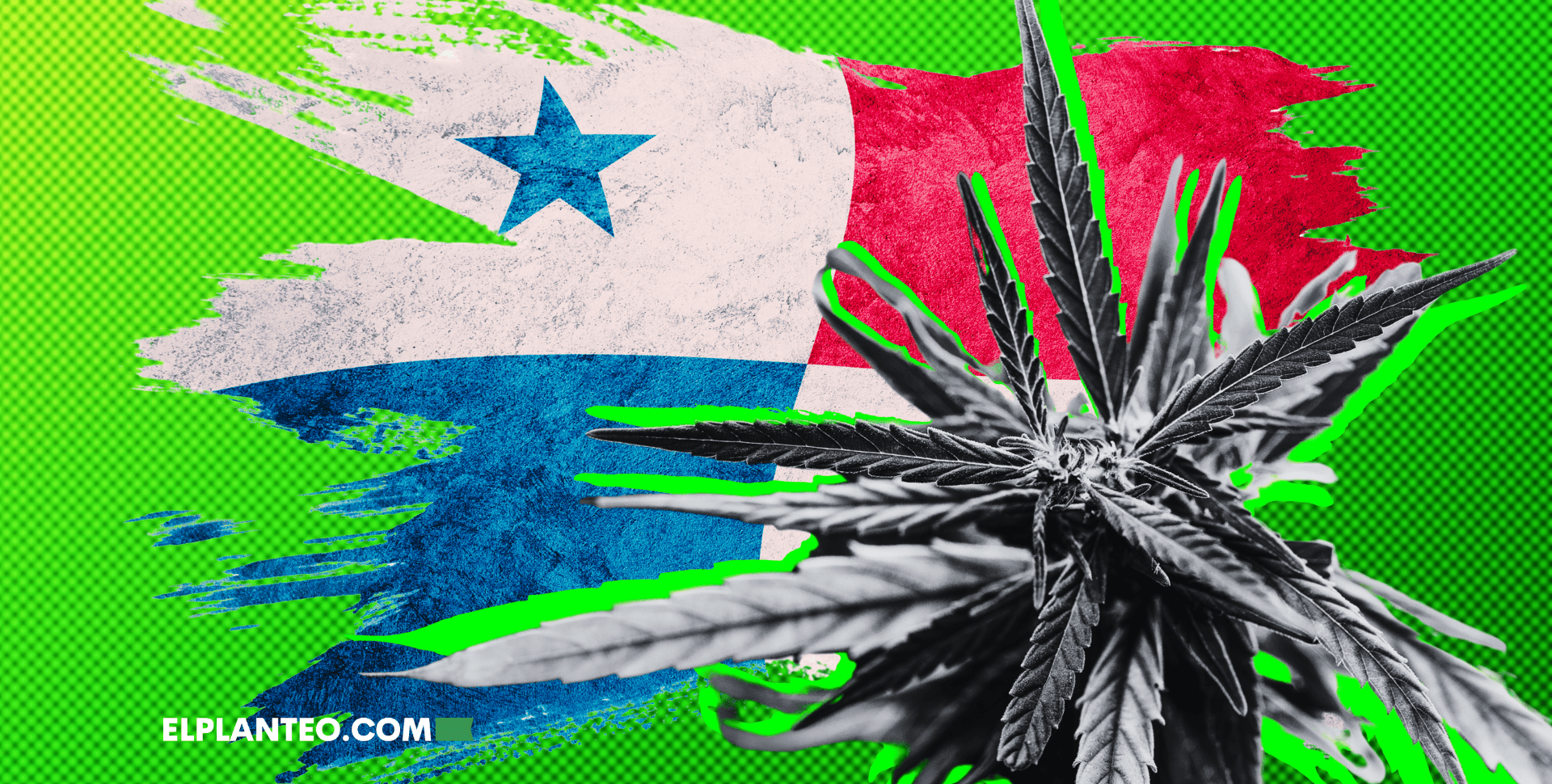 Panamá Avanza con la Regulación del Cannabis Medicinal: El Minsa Fija las Reglas del Juego