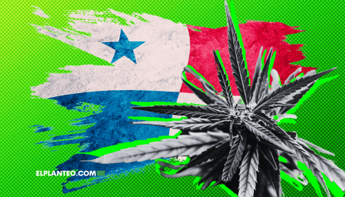 Panamá Avanza con la Regulación del Cannabis Medicinal: El Minsa Fija las Reglas del Juego Panamá Avanza con la Regulación del Cannabis Medicinal: El Minsa Fija las Reglas del Juego