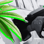 Alianza Inesperada: Brasil Convertirá Marihuana Incautada por la Policía en Biocombustible