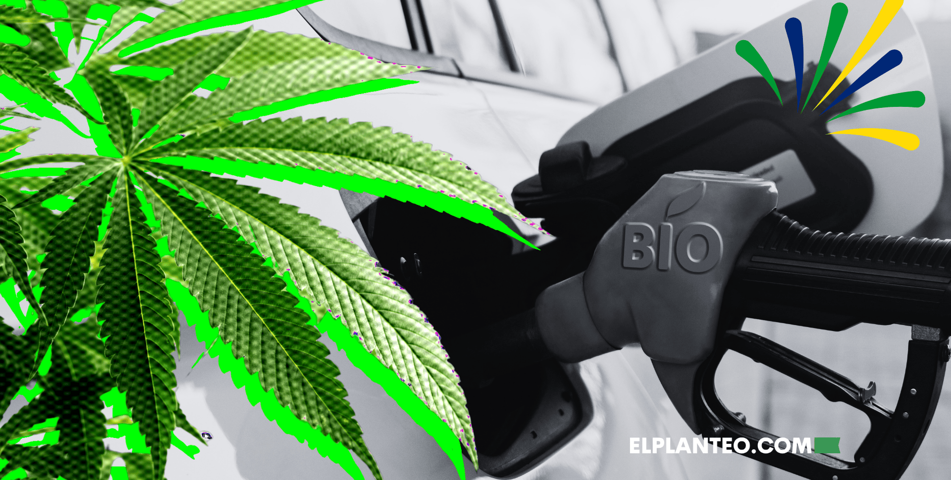 Alianza Inesperada: Brasil Convertirá Marihuana Incautada por la Policía en Biocombustible Alianza Inesperada: Brasil Convertirá Marihuana Incautada por la Policía en Biocombustible