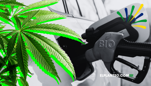 Alianza Inesperada: Brasil Convertirá Marihuana Incautada por la Policía en Biocombustible Alianza Inesperada: Brasil Convertirá Marihuana Incautada por la Policía en Biocombustible