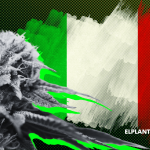 Italia Prohíbe Todas las Flores de Cáñamo y CBD: Sin Filtros, Sin Diálogo, Sin Ciencia