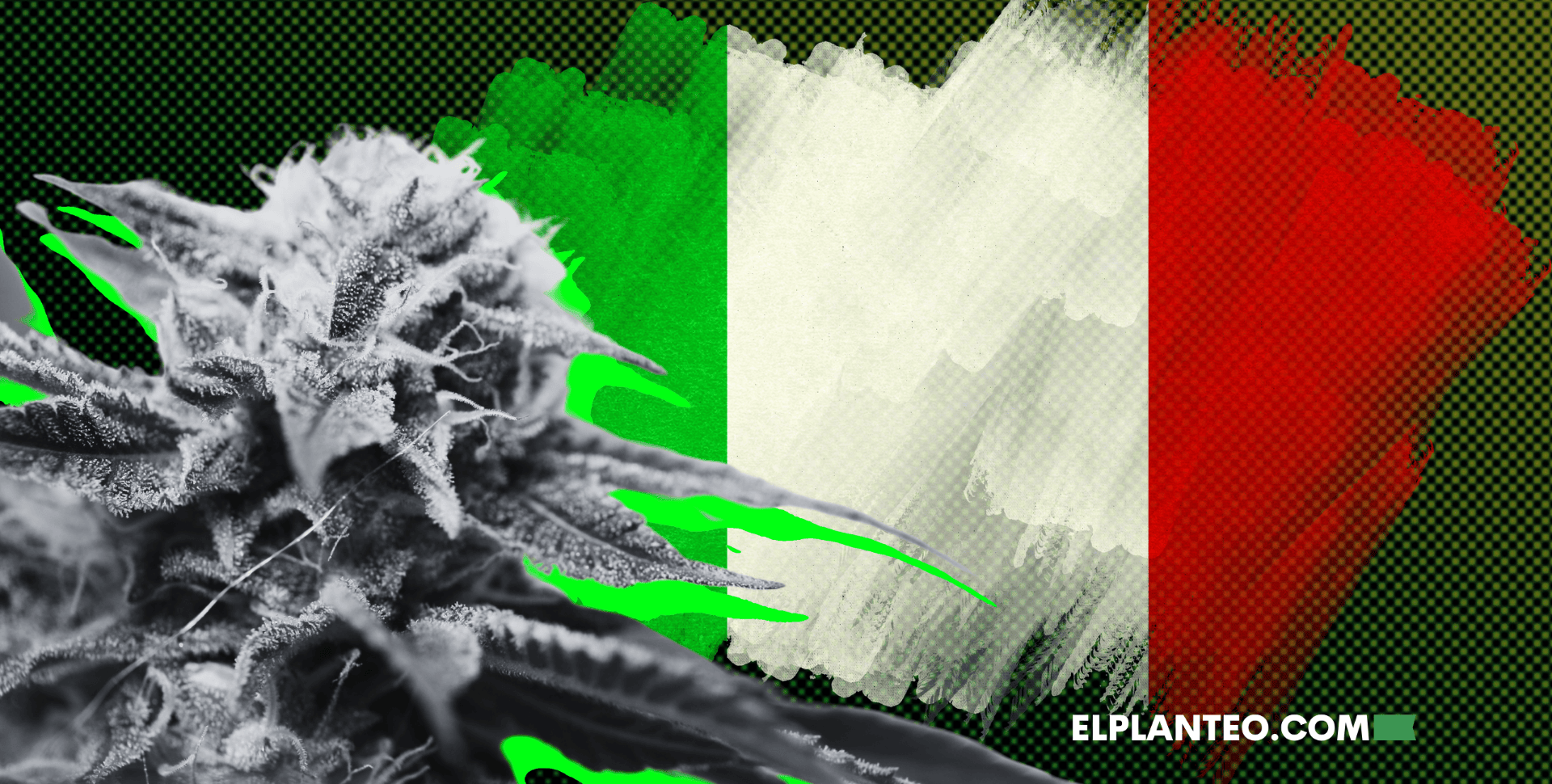 Italia Prohíbe Todas las Flores de Cáñamo y CBD: Sin Filtros, Sin Diálogo, Sin Ciencia