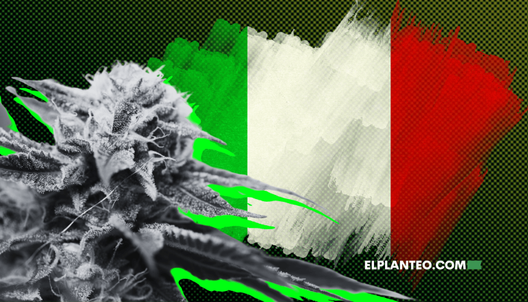 Italia Prohíbe Todas las Flores de Cáñamo y CBD: Sin Filtros, Sin Diálogo, Sin Ciencia