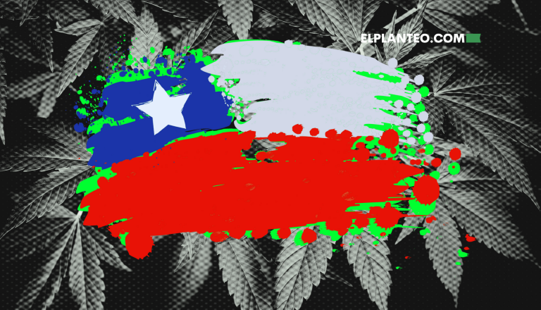 Autocultivo y Cannabis de Uso Adulto en Chile: Diputados Presentan Proyecto de Ley
