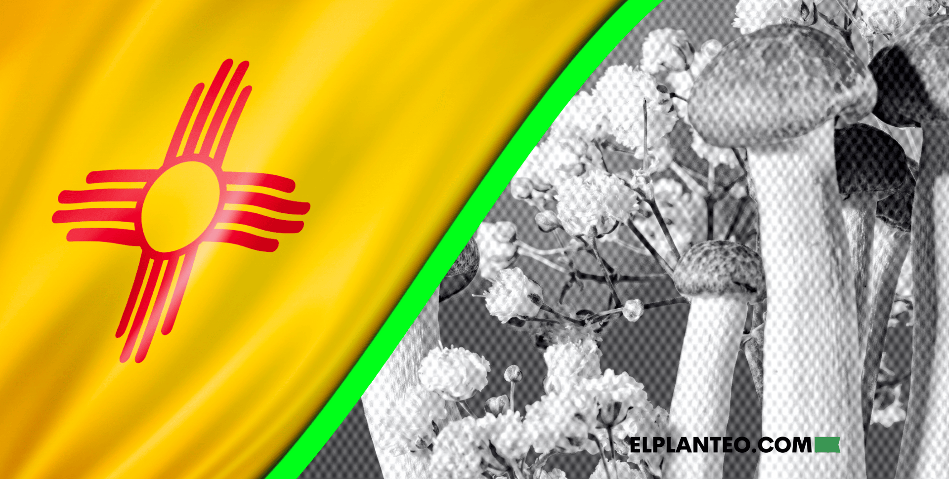 EEUU: Ahora, la Terapia con Psilocibina Es Legal en Nuevo México EEUU: Ahora, la Terapia con Psilocibina Es Legal en Nuevo México