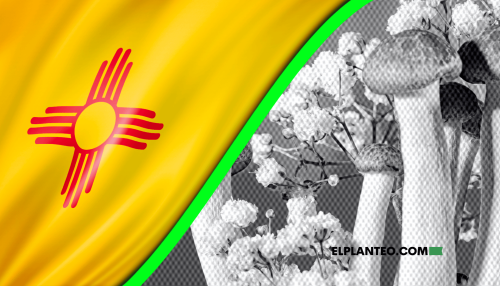 EEUU: Ahora, la Terapia con Psilocibina Es Legal en Nuevo México