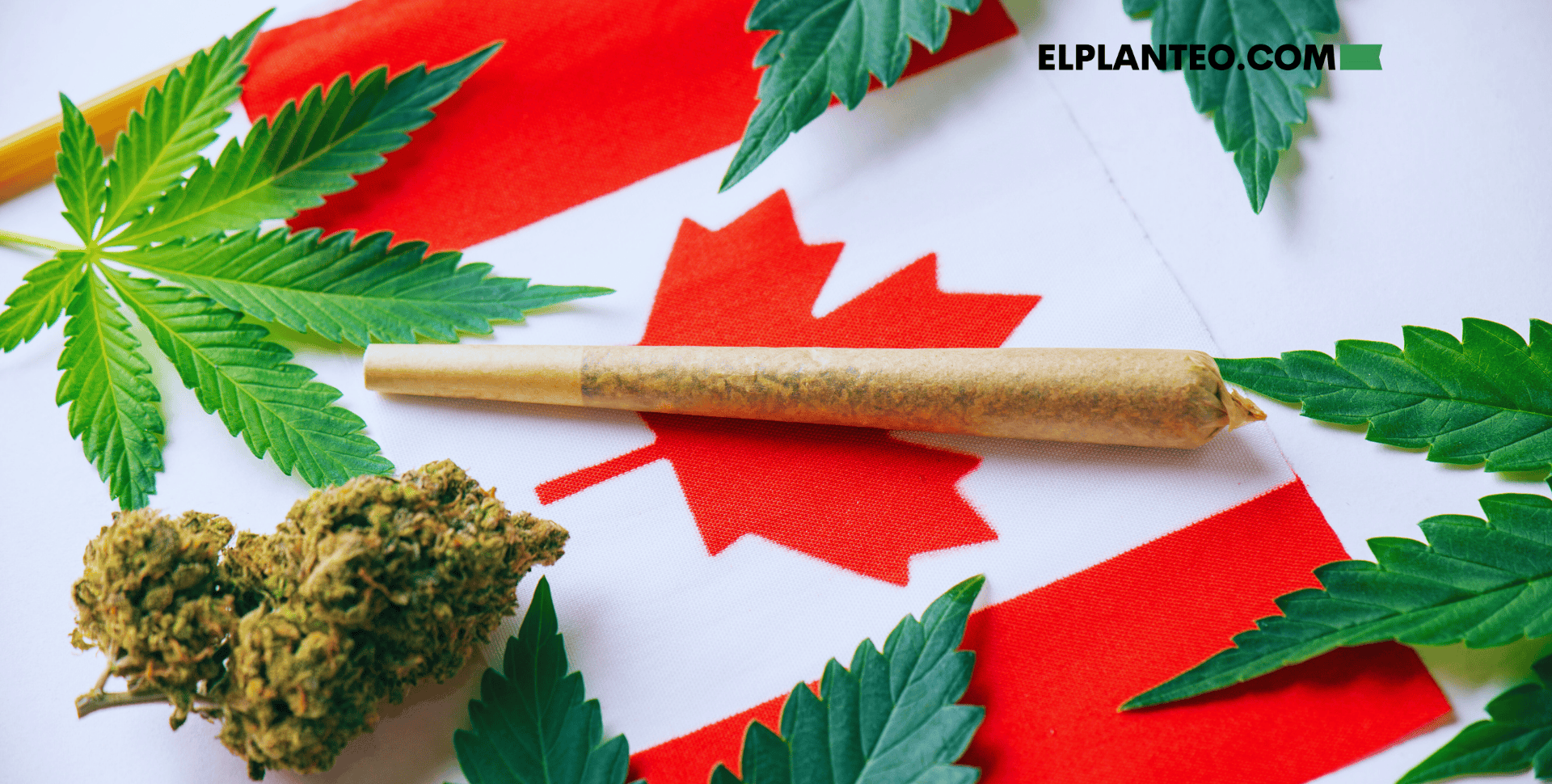 5 Años de Cannabis Legal en Canadá: Más Uso, Menos Abuso, Según Estudio 5 Años de Cannabis Legal en Canadá: Más Uso, Menos Abuso, Según Estudio