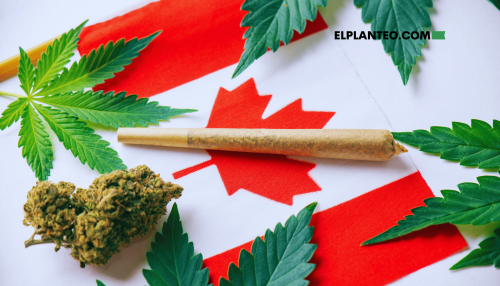 5 Años de Cannabis Legal en Canadá: Más Uso, Menos Abuso, Según Estudio