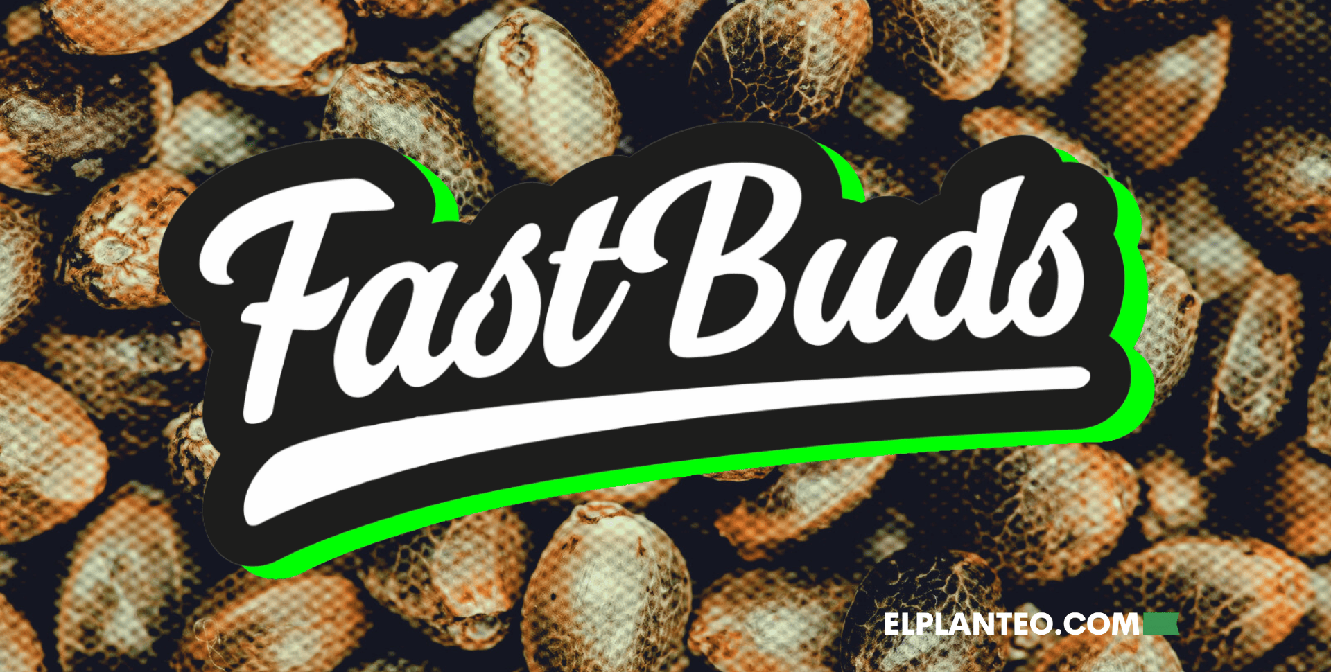 Esta Empresa Europea Vende 1 Millón de Semillas de Cannabis por Año en EEUU