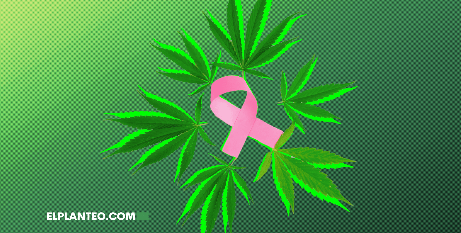 Histórico: Revisión de 10.000 Estudios Confirma que el Cannabis Ayuda Contra el Cáncer – ‘El Consenso Científico Es Abrumador’ Histórico: Revisión de 10.000 Estudios Confirma que el Cannabis Ayuda Contra el Cáncer – ‘El Consenso Científico Es Abrumador’