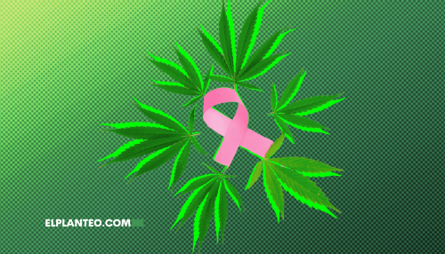 Histórico: Revisión de 10.000 Estudios Confirma que el Cannabis Ayuda Contra el Cáncer – ‘El Consenso Científico Es Abrumador’ Histórico: Revisión de 10.000 Estudios Confirma que el Cannabis Ayuda Contra el Cáncer – ‘El Consenso Científico Es Abrumador’